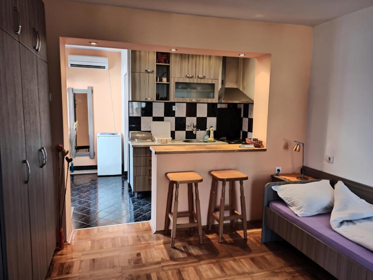 Apartman Ristic Niska Banja Exterior photo